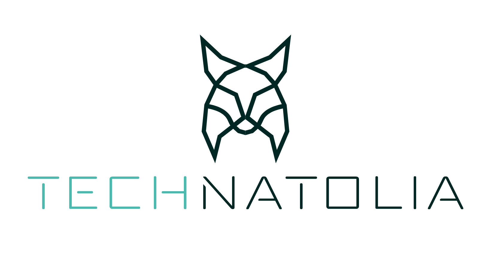 Technatolia logosu