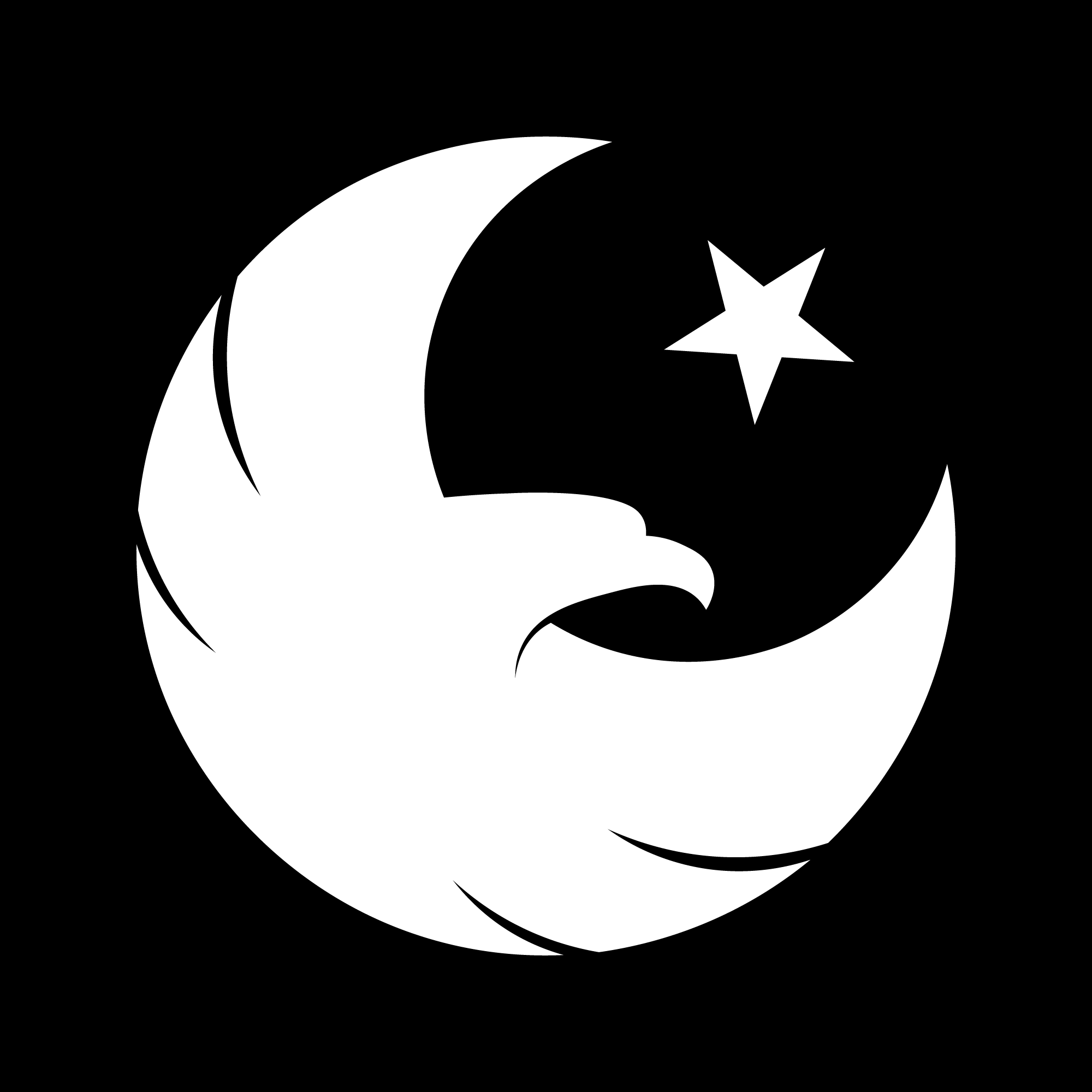 Yıldız CTI takım logosu