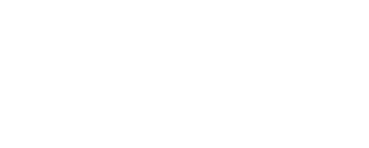 SpeedUp logosu